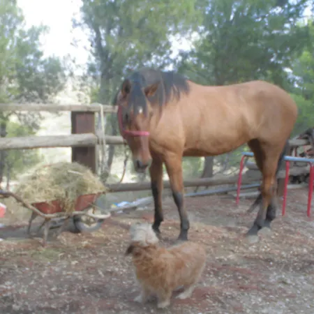 Hotel Restaurante Patio Fuentes de Ebro
