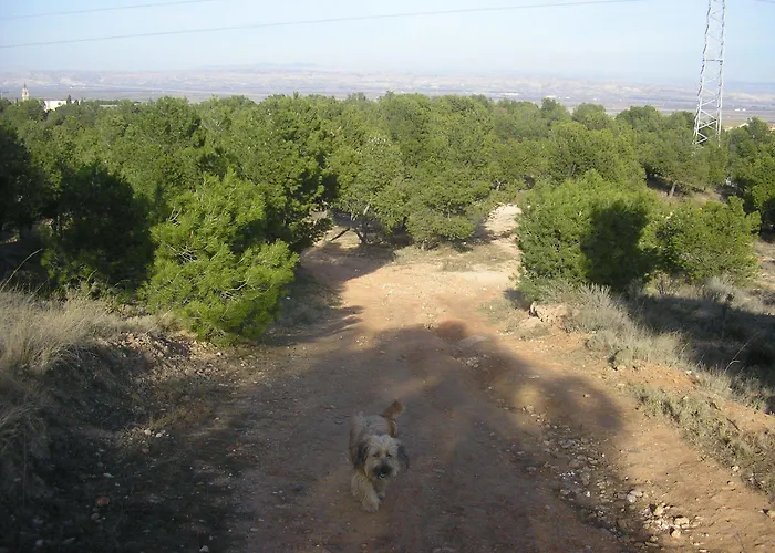 Restaurante Patio Fuentes de Ebro