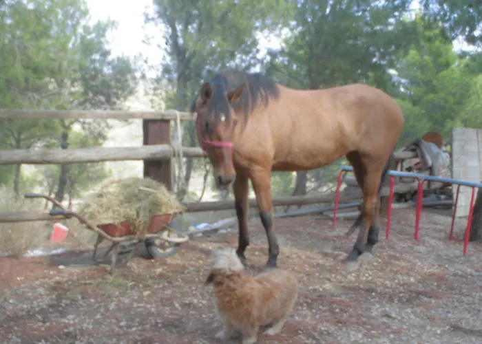 Hotell Restaurante Patio Fuentes de Ebro