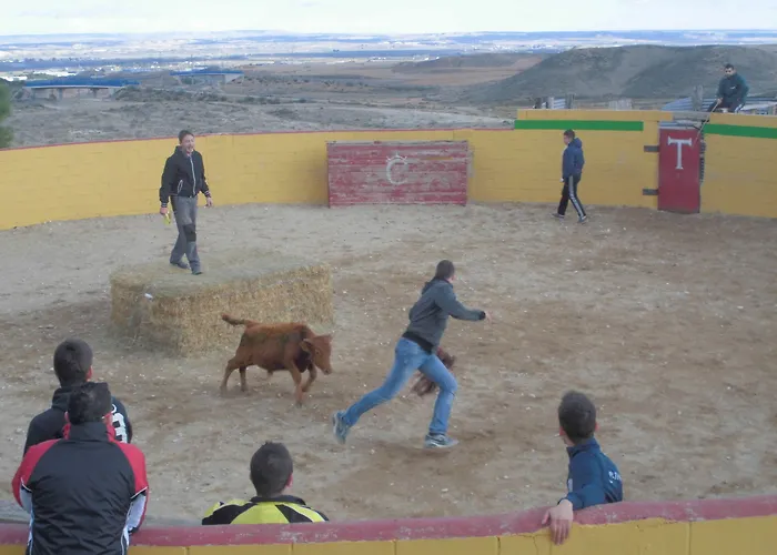 Restaurante Patio Fuentes de Ebro