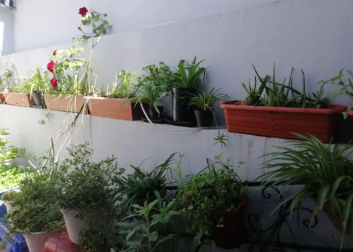 Restaurante Patio Hotell 3*